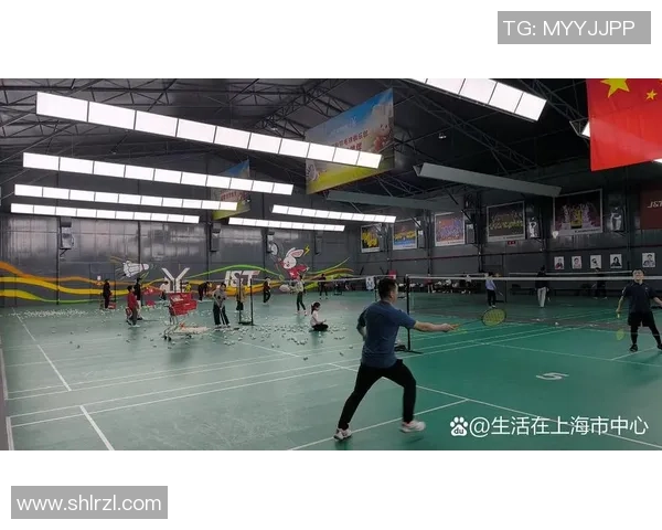 赛后分析：上海羽毛球队与北京羽毛球队的默契配合与战术对抗探讨